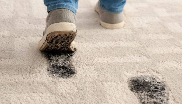 اهمیت نظافت فرش و موکت
